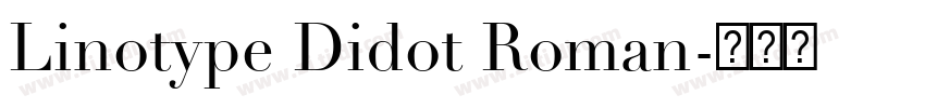 Linotype Didot Roman字体转换